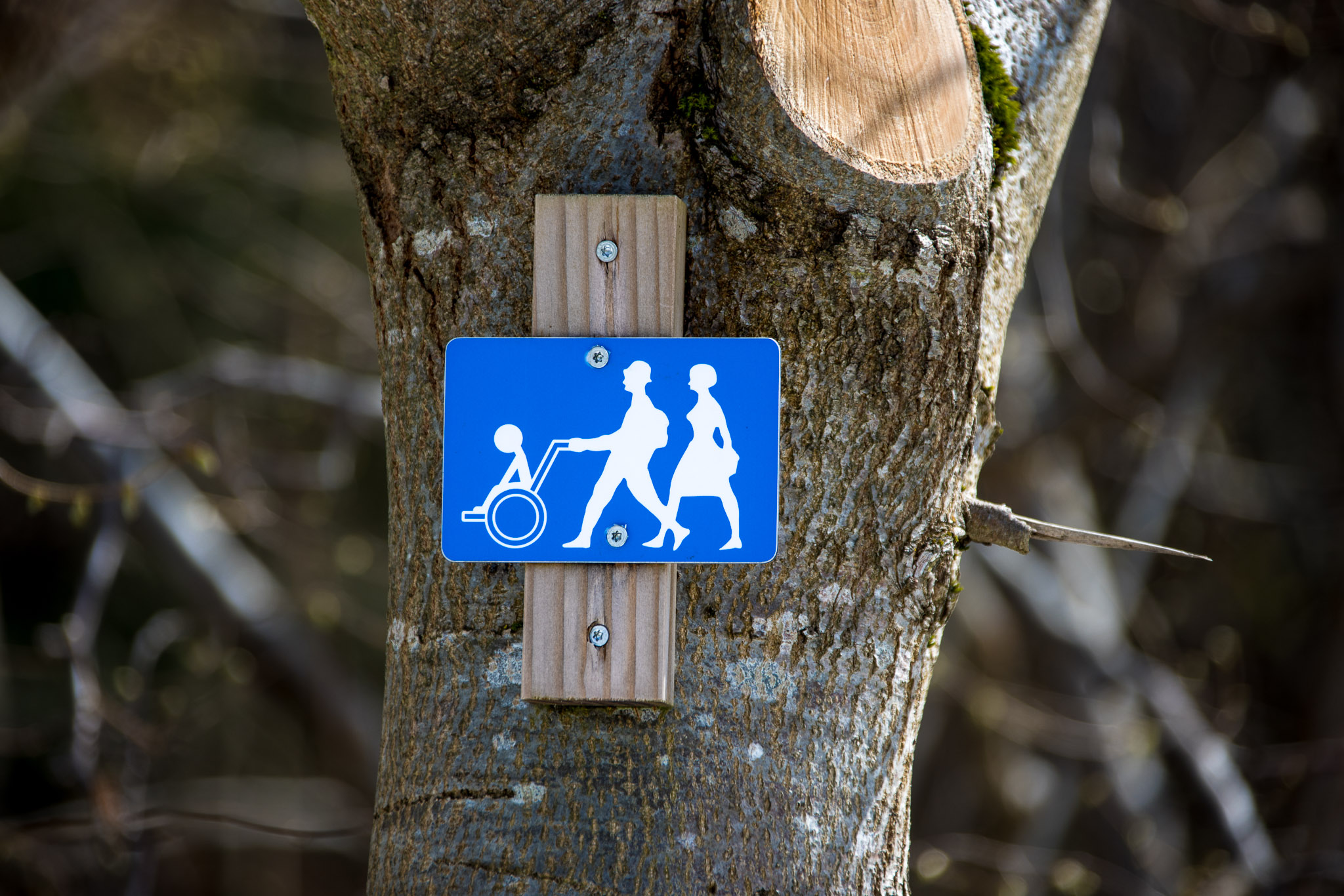 20220409143318 R5D 1317